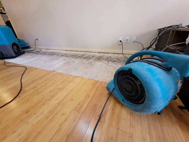 Professional Water Damage Repair technician working in Cleveland, GA